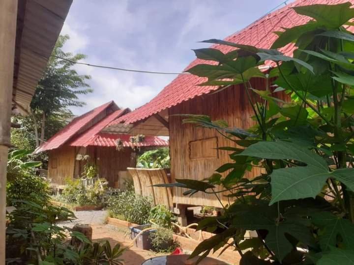 Odambang Village Homestay Battambang Exterior foto